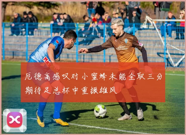 厄德高感叹对小蜜蜂未能全取三分期待足总杯中重振雄风