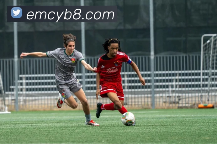 易倍体育emc平台生态图