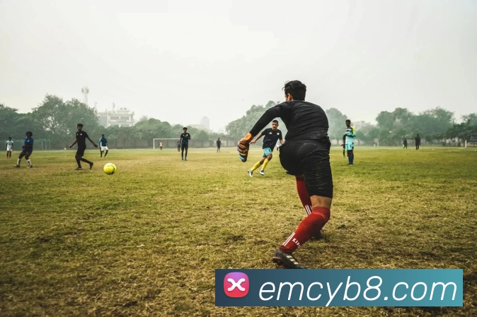 数据防护可视化